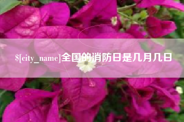 肇州全国的消防日是几月几日