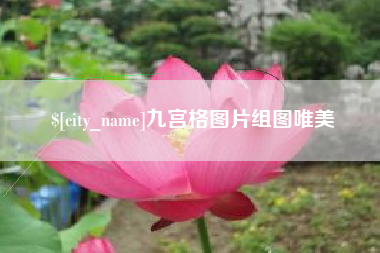 肇州九宫格图片组图唯美
