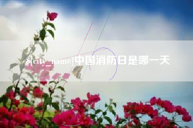 肇州中国消防日是哪一天