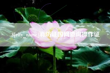 肇州消防证国网查询操作证