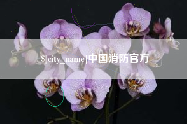 肇州中国消防官方