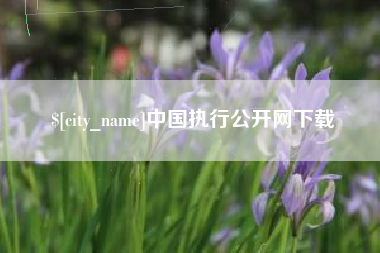 肇州中国执行公开网下载
