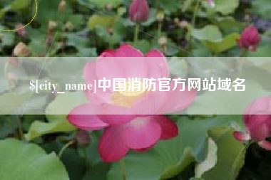 肇州中国消防官方网站域名