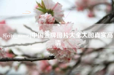 肇州中国金牌图片大全大图真实高清