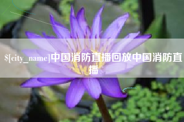 肇州中国消防直播回放中国消防直播