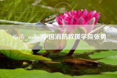 肇州中国消防救援学院张勇