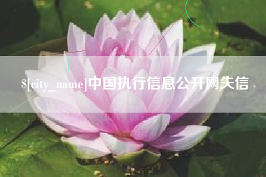 肇州中国执行信息公开网失信