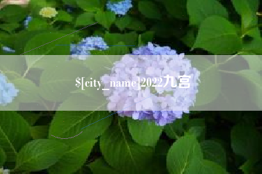 肇州2022九宫