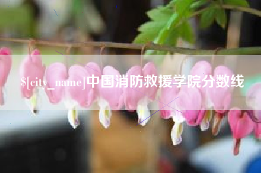 肇州中国消防救援学院分数线