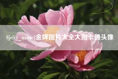 肇州金牌图片大全大图卡通头像