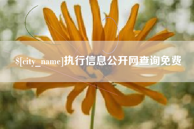 肇州执行信息公开网查询免费