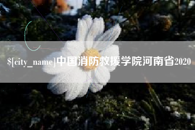 肇州中国消防救援学院河南省2020